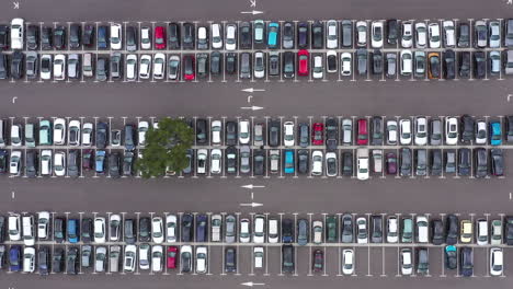 Ein-Baum-Mitten-Auf-Einem-Parkplatz-Voller-Autos,-Luftaufnahme-Einer-Französischen-Drohne